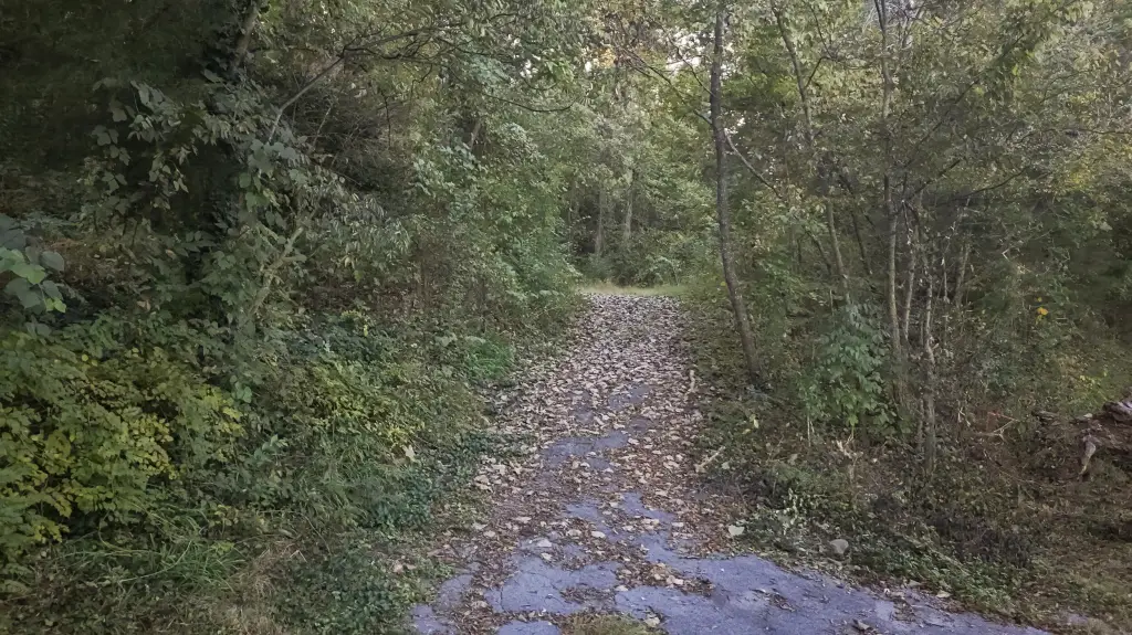 Picture 17