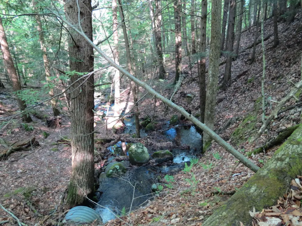 Picture 4