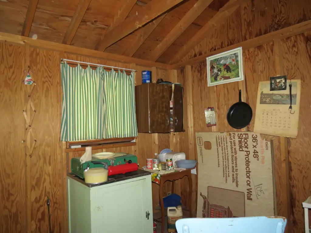 Picture 8