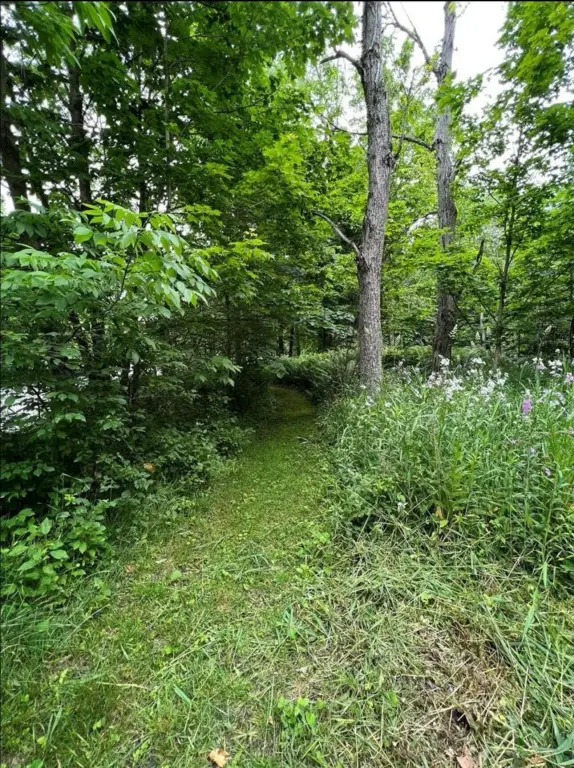 Picture 13
