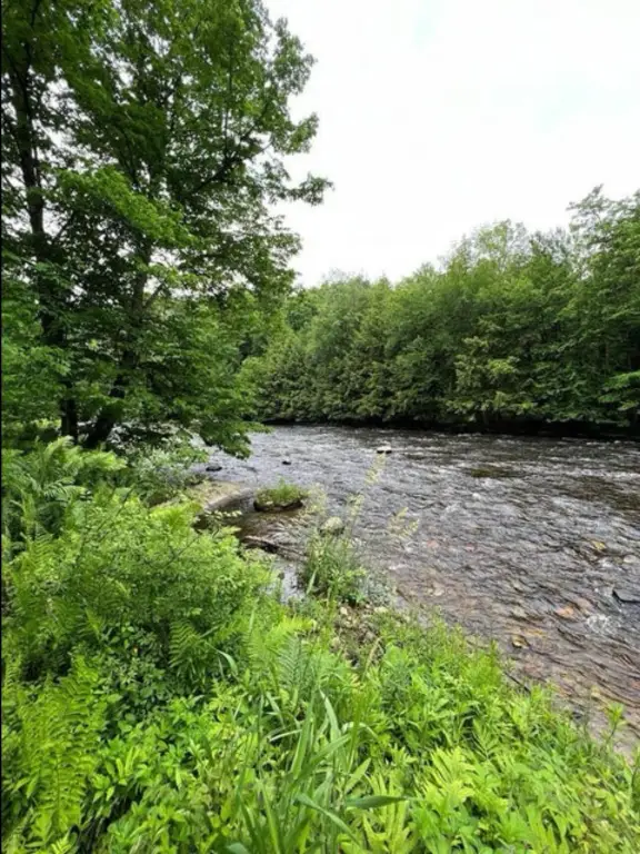 Picture 22