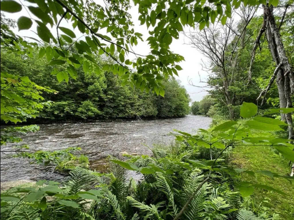 Picture 26