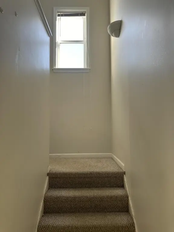 Picture 29