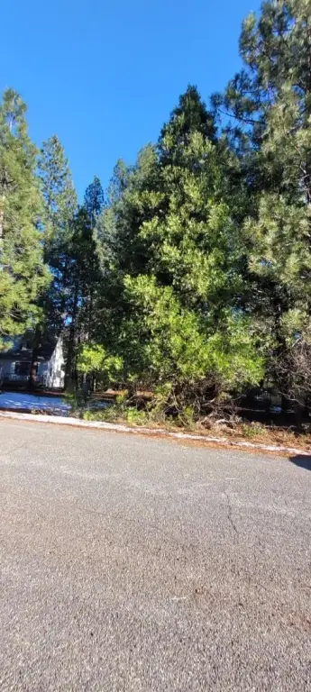 Picture 11