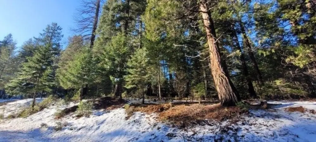 Picture 13