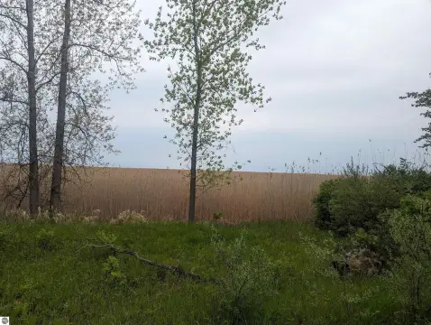 Lake Huron Frontage Building Site