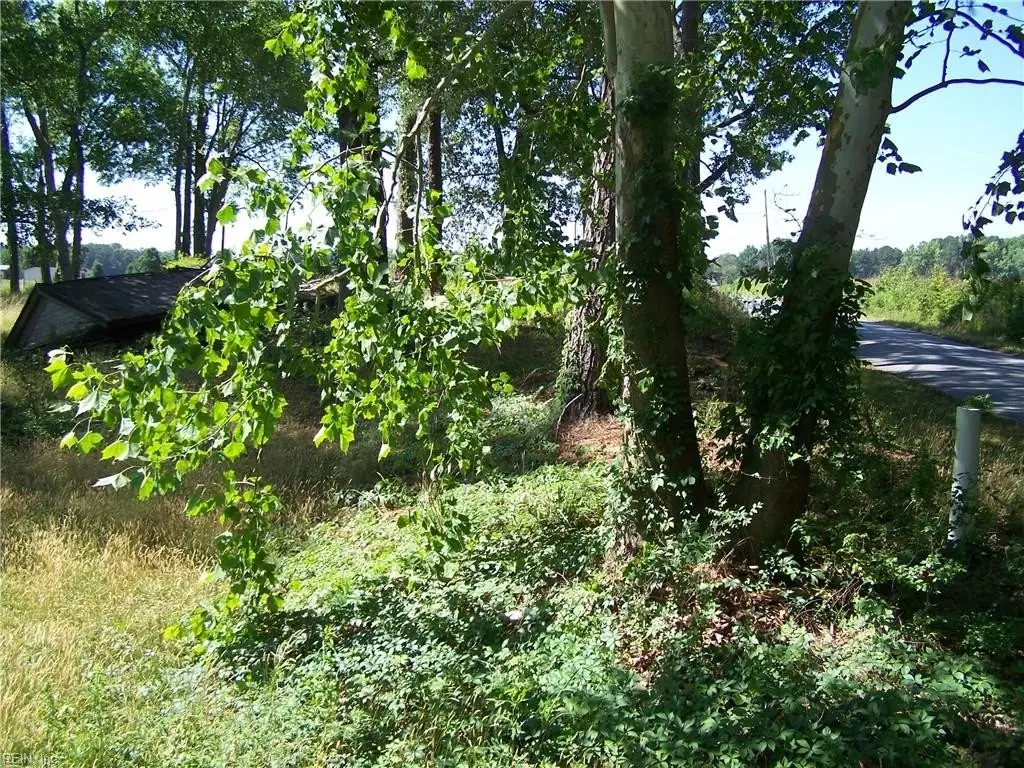 Picture 5