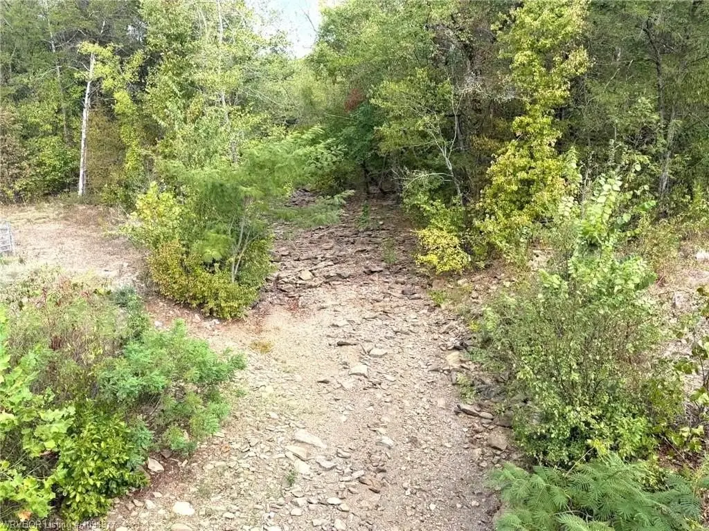 Picture 11