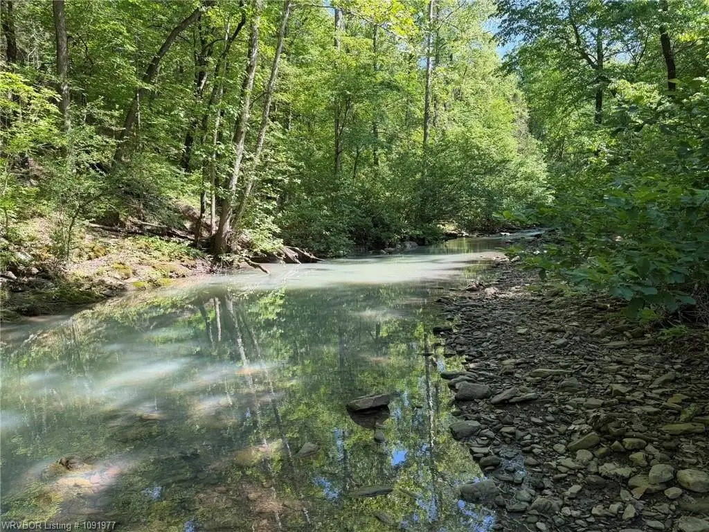 Picture 25