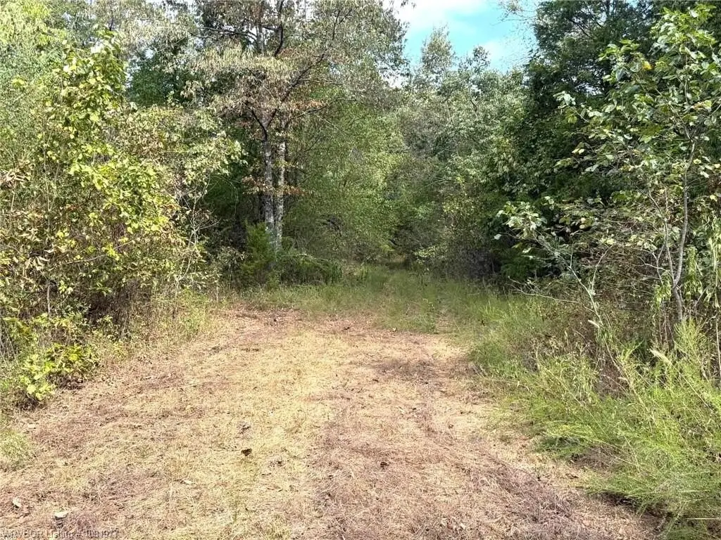 Picture 15
