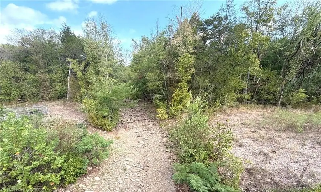 Picture 14