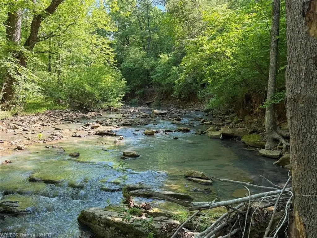 Picture 19