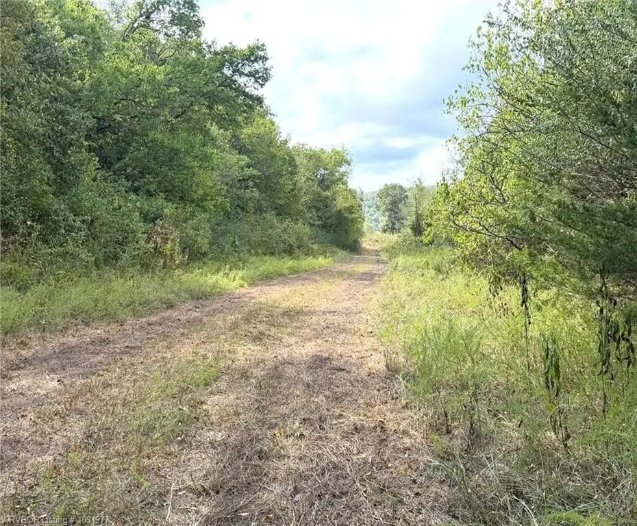 Picture 16