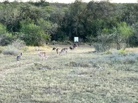 Secluded Hunting Land in Kenedy
