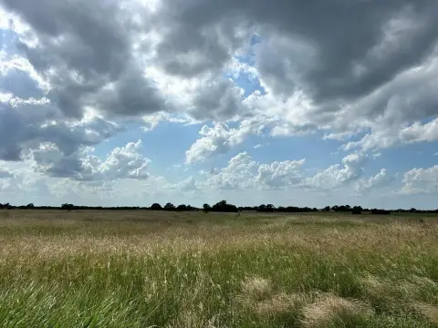 49.74 Acres in Beeville, TX