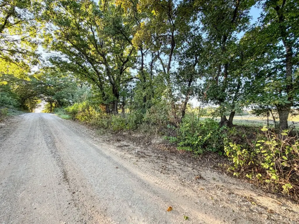 Picture 29
