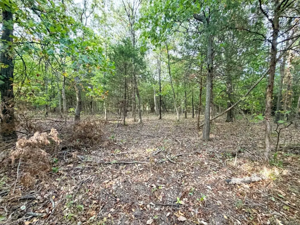 Picture 29