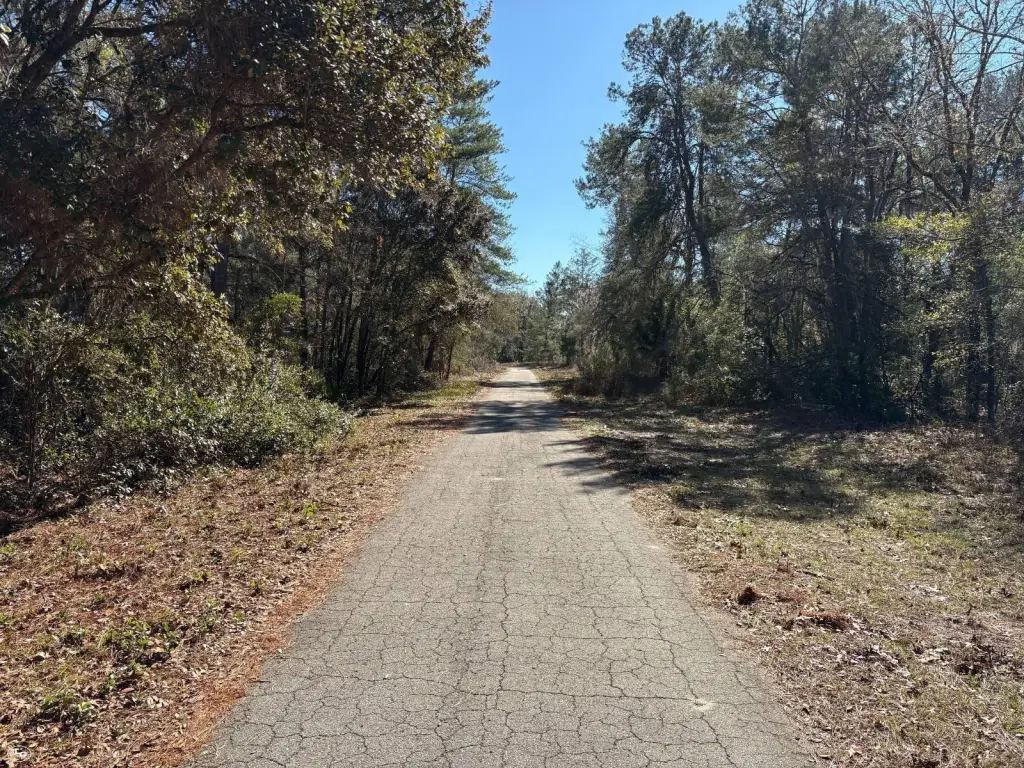 Picture 22