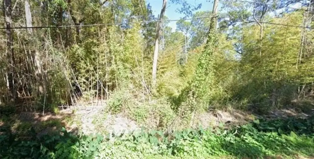 Picture 2
