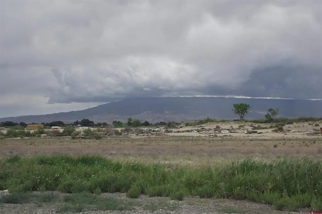 Picture 26