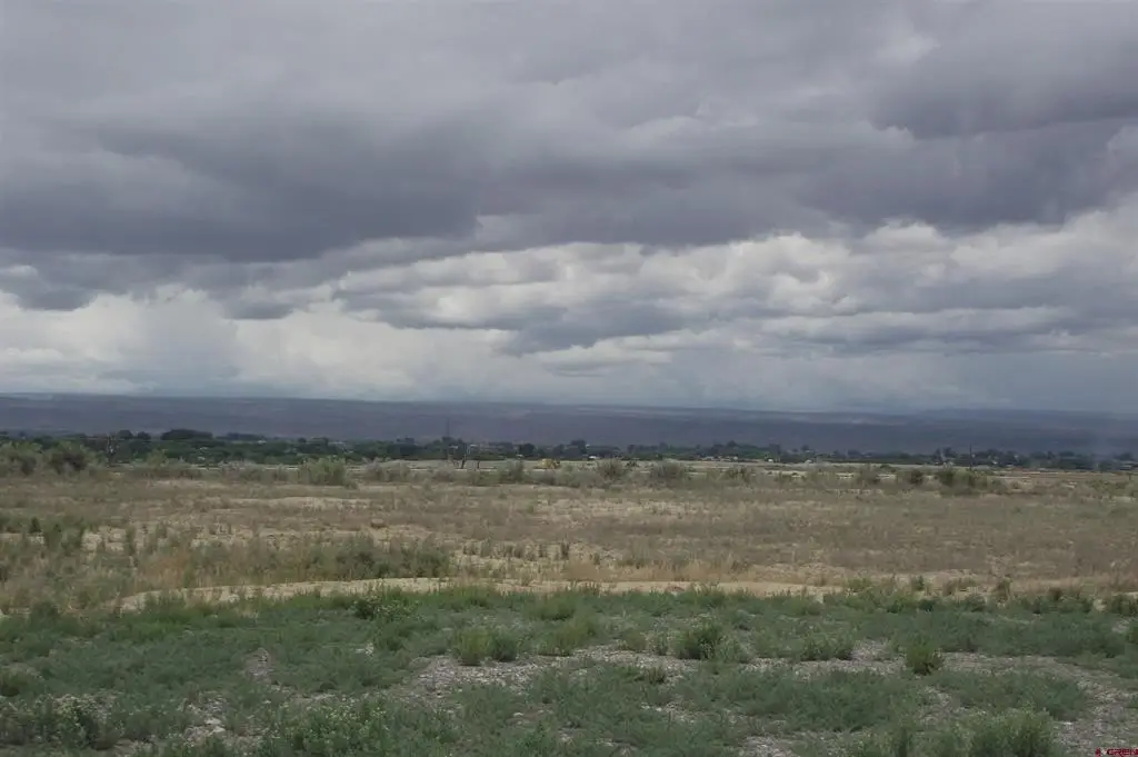 Picture 24