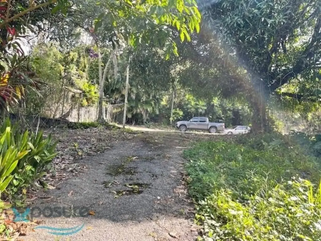 Picture 23
