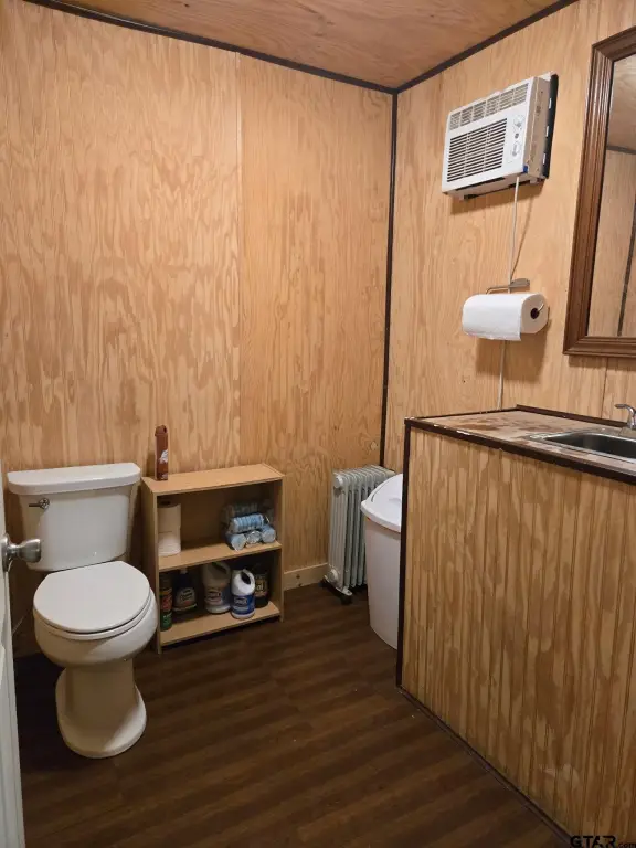 Picture 6