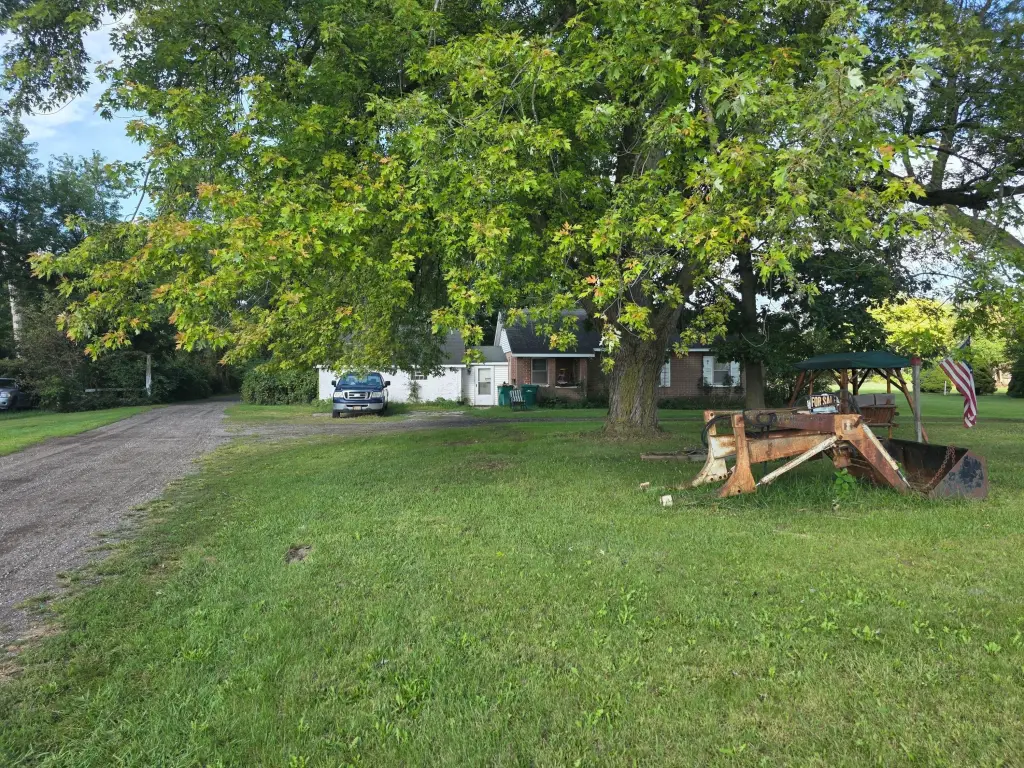 Picture 5