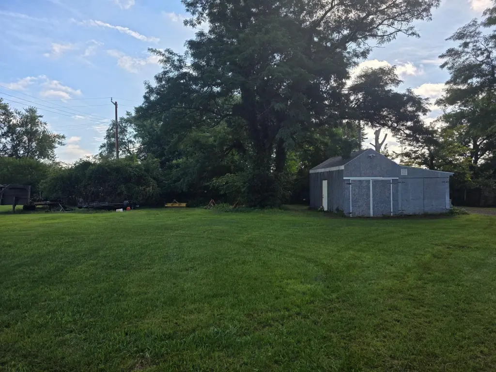 Picture 17