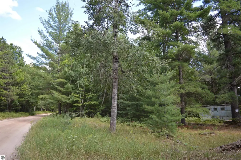 Picture 19