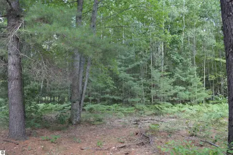 Hunting Land Surrounded by State Land