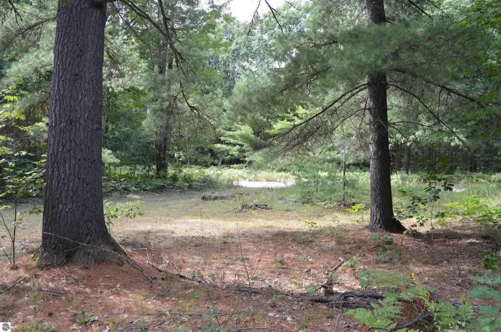Picture 15