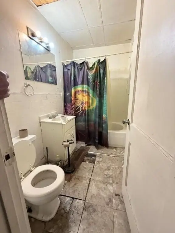 Picture 11