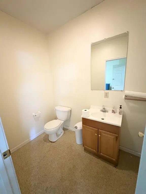 Picture 12