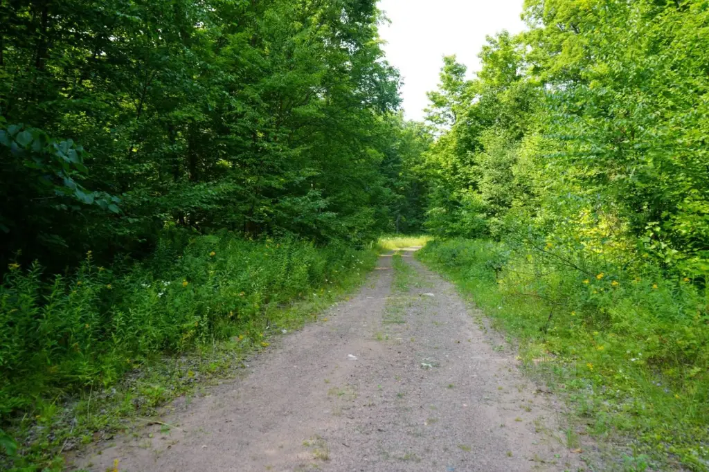 Picture 32