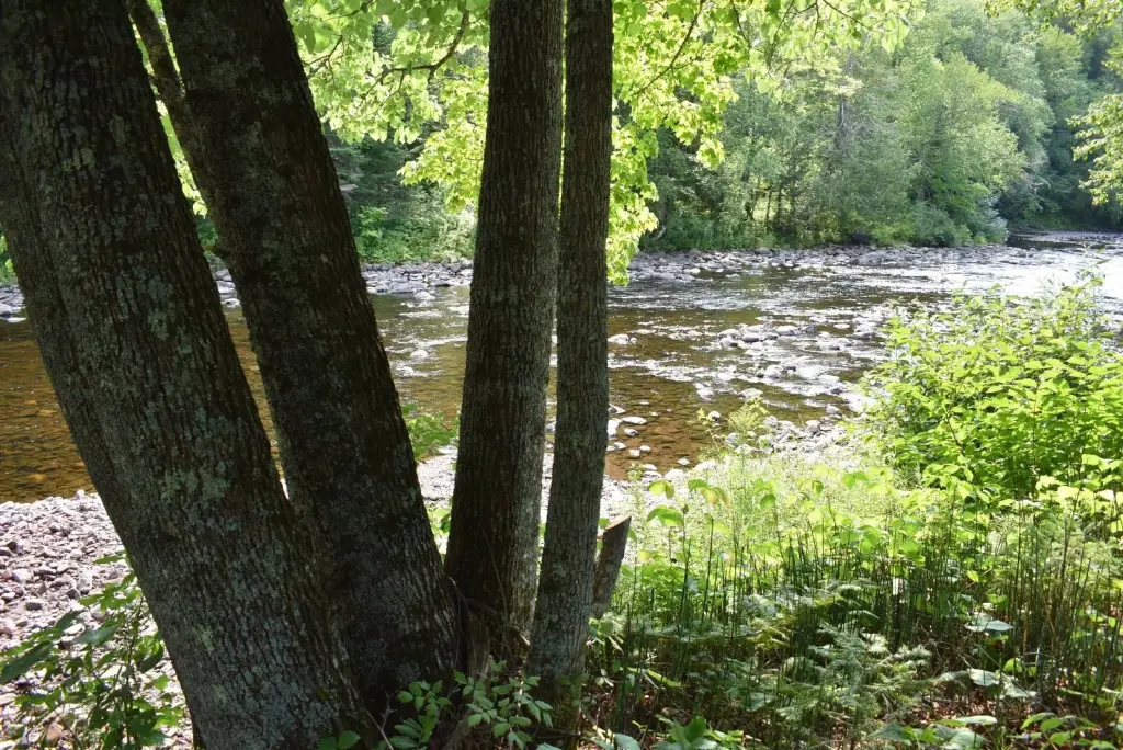 Picture 21