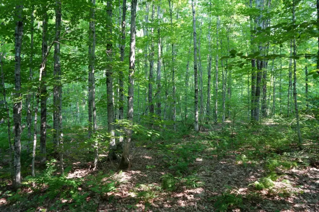 Picture 30