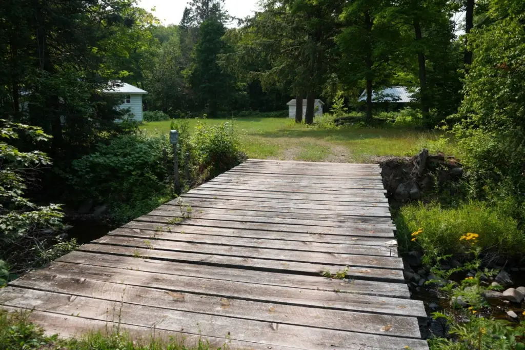 Picture 52