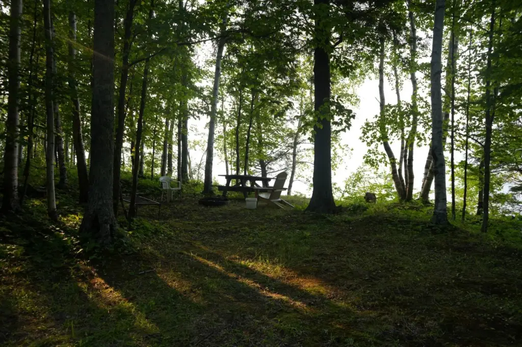 Picture 38