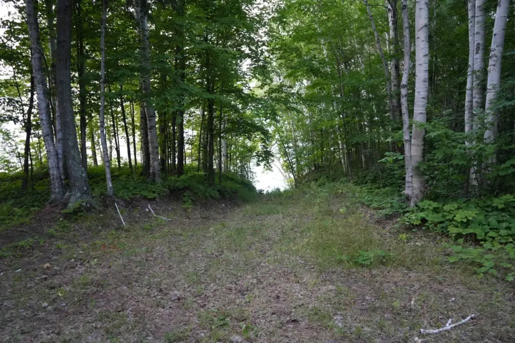 Picture 41