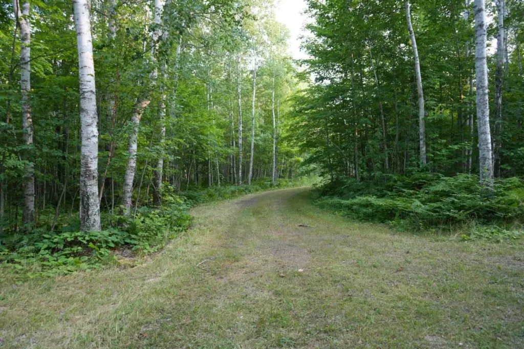 Picture 21
