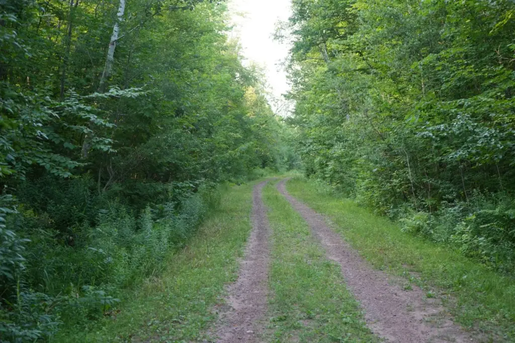 Picture 19