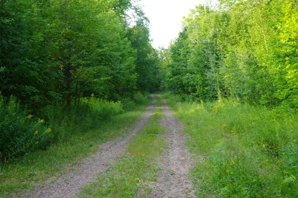 Picture 60