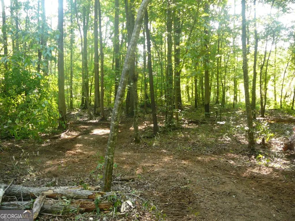 Picture 28