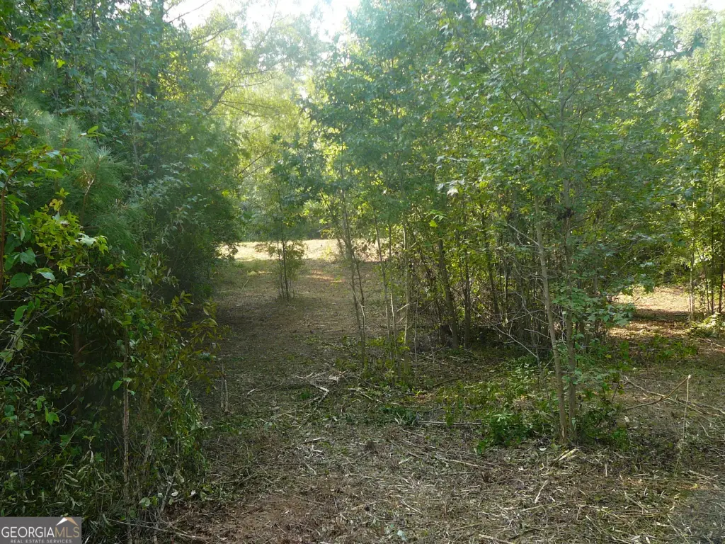 Picture 25