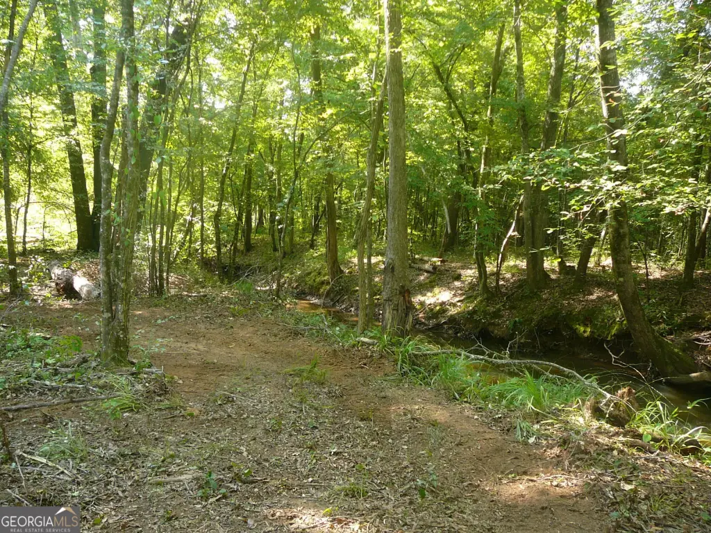 Picture 26