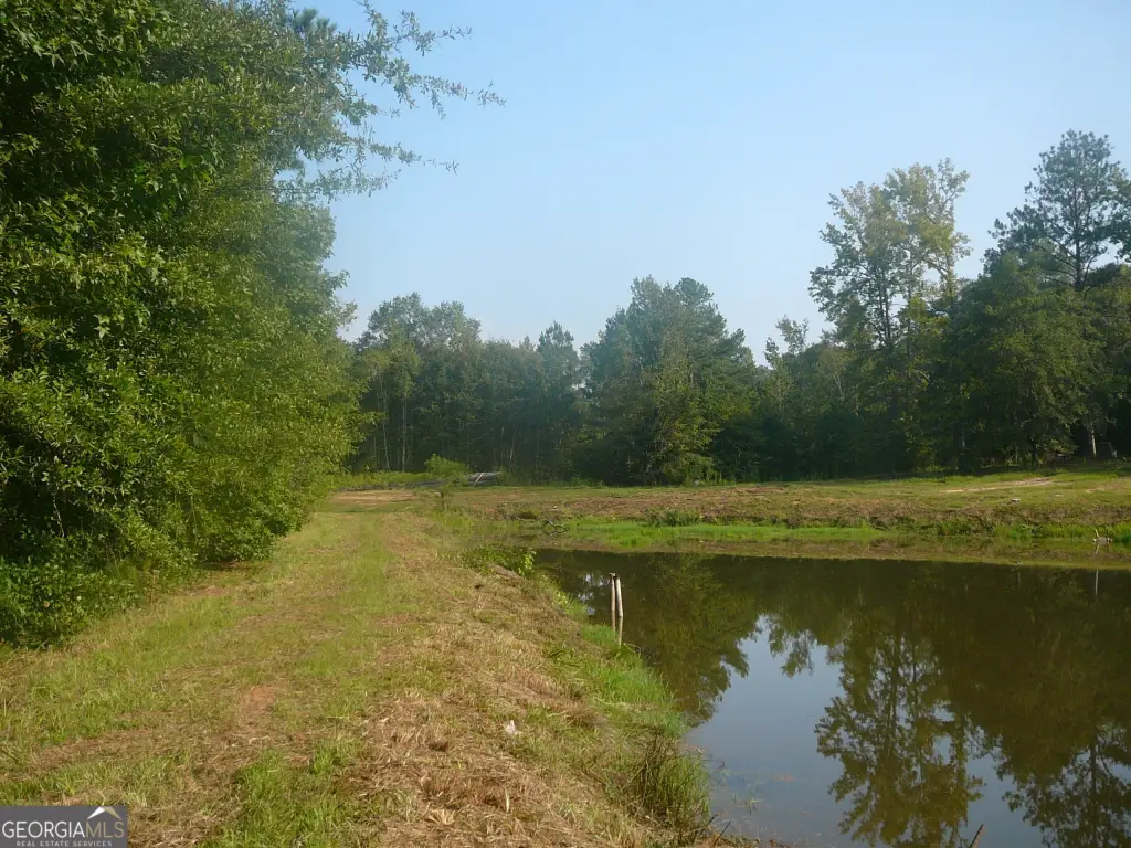 Picture 24