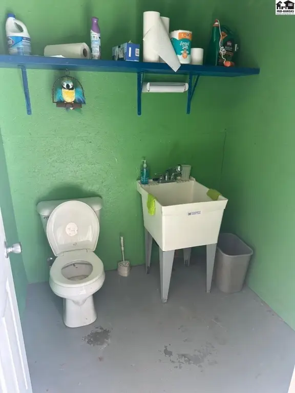 Picture 5
