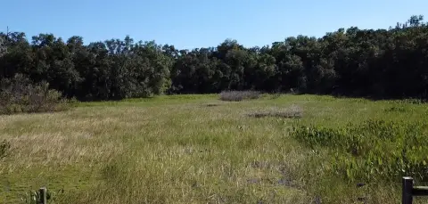 Scenic 10-Acre Homesite in Bushnell