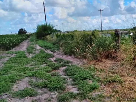 24 Acres Available in Raymondville